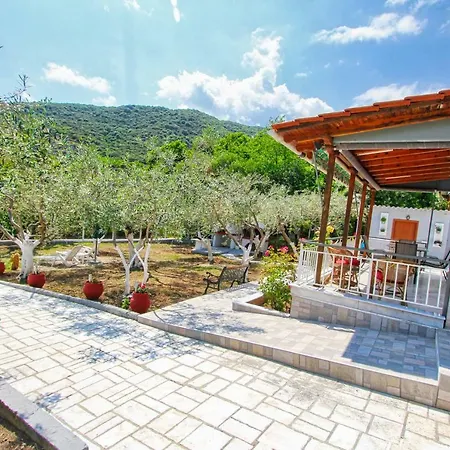 The House Of Olive Trees *