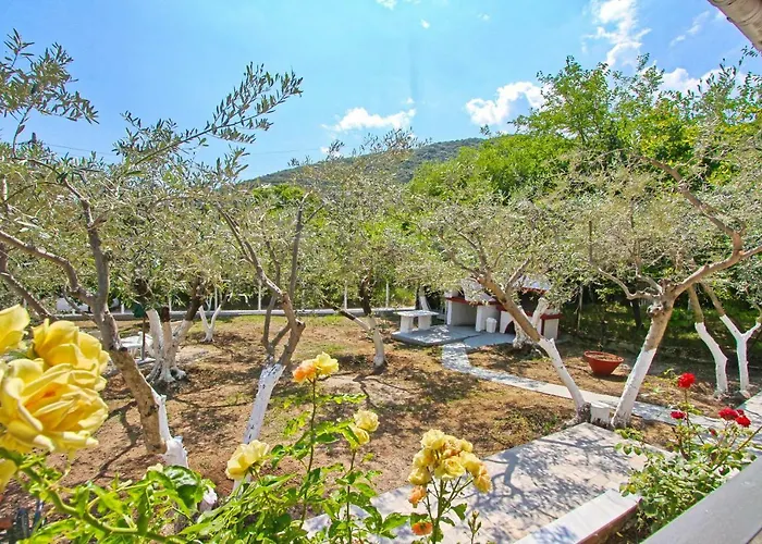 The House Of Olive Trees Nea Iraklitsa