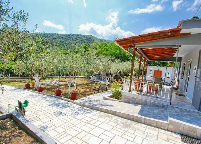 The House Of Olive Trees *