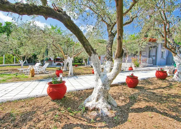 Case de vacanță The House Of Olive Trees *